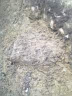 Carrowmore  10035.jpg